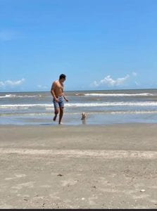 English Cream Miniature Dachshund Puppies For Sale