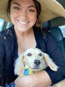 English Cream Miniature Dachshund Puppies For Sale