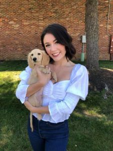 english cream miniature dachshund puppy breeder