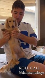 english cream miniature dachshund puppy breeder