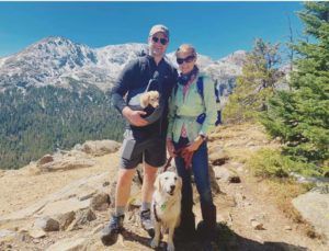 english cream miniature dachshund breeder