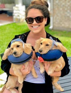 english cream miniature dachshund puppy breeder