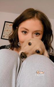 english cream miniature dachshund puppy breeder