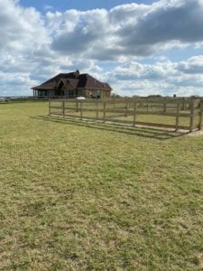 English Cream Miniature Dachshund Breeder - Crème of the Crop Dachshunds Fenced Outdoor Play Area