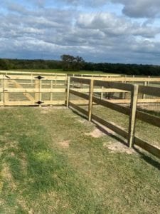 English Cream Miniature Dachshund Breeder - Crème of the Crop Dachshunds Fenced Outdoor Play Area 4