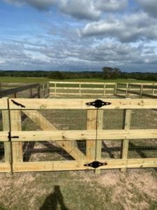 English Cream Miniature Dachshund Breeder - Crème of the Crop Dachshunds Outdoor Play Area
