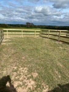 English Cream Miniature Dachshund Breeder - Crème of the Crop Dachshunds Fenced Outdoor Play Area 2