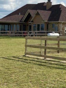 English Cream Miniature Dachshund Breeder - Crème of the Crop Dachshunds Fenced Outdoor Play Area Puppies