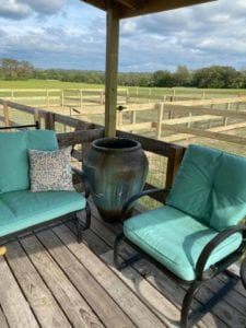 English Cream Miniature Dachshund Breeder - Crème of the Crop Dachshunds Fenced Outdoor Play Area 3