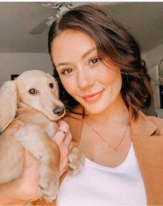 English Cream Miniature Dachshund Breeder - Crème of the Crop Dachshunds Past Litter Puppy 1