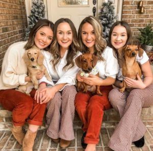 Crème of the Crop Dachshunds English Cream Miniature Dachshund Puppy Family Photo