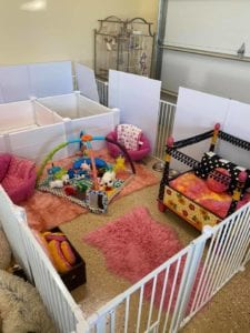 Crème of the Crop Dachshunds English Cream Miniature Dachshund Puppy Nursery 1