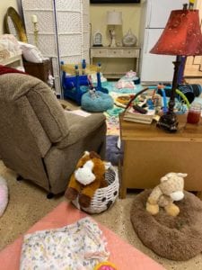 Crème of the Crop Dachshunds English Cream Miniature Dachshund Dream Cream Puppy Nursery Franklin, Texas 4