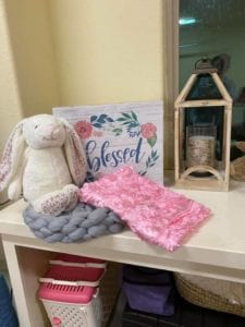 Crème of the Crop Dachshunds English Cream Miniature Dachshund Dream Cream Puppy Nursery Franklin, Texas 10