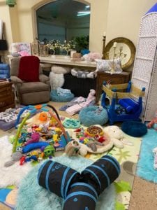 Crème of the Crop Dachshunds English Cream Miniature Dachshund Dream Cream Puppy Nursery Franklin, Texas 15