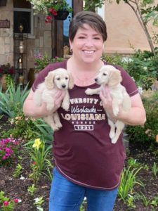 Creme of the Crop English Cream Miniature Dachshund Puppies