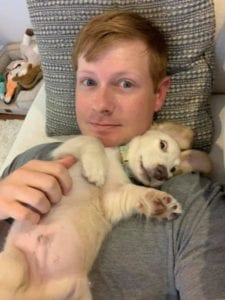 Creme of the Crop English Cream Miniature Dachshund Puppy