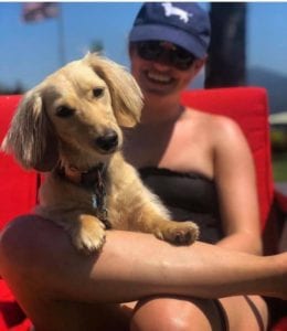 Creme of the Crop English Cream Miniature Dachshund Puppy