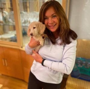 Creme of the Crop English Cream Miniature Dachshund Puppy