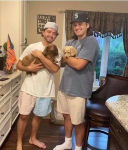 Creme of the Crop English Cream Miniature Dachshund Puppy