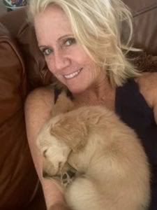 Creme of the Crop English Cream Miniature Dachshund Puppy