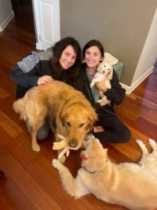 Creme of the Crop English Cream Miniature Dachshund Puppy