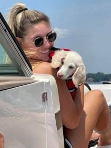 Creme of the Crop English Cream Miniature Dachshunds