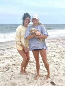 Creme of the Crop English Cream Miniature Dachshunds