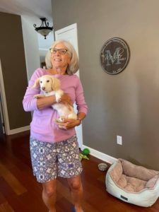 Creme of the Crop English Cream Miniature Dachshunds