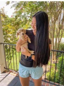 Crème of the Crop Dachshund Puppies