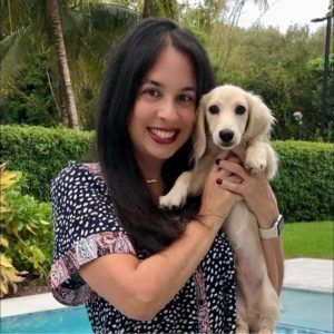 Creme of the Crop Miniature Longhair Dachshund Puppy Breeder Texas