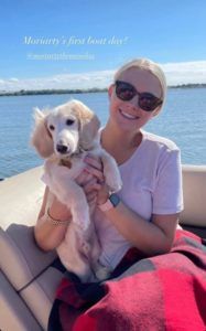 Creme of the Crop Miniature Longhair Dachshund Puppy Breeder Texas