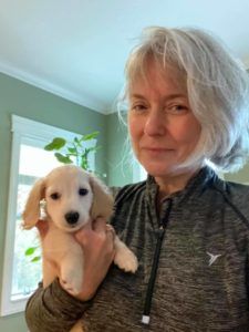 Creme of the Crop Miniature Longhair Dachshund Puppy Breeder Texas