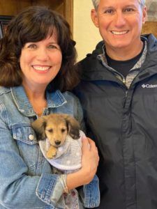 Creme of the Crop Miniature Longhair Dachshund Puppy Breeder Texas