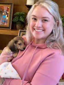 Creme of the Crop Miniature Longhair Dachshund Puppy Breeder Texas