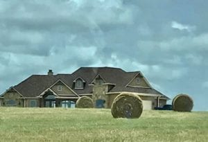 Crème of the Crop Dachshunds Farm Franklin Texas