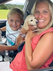 Crème of the Crop English Cream Miniature Dachshunds - Previous Litter Puppies 9