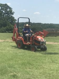 Crème of the Crop English Cream Miniature Dachshunds