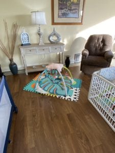 Crème of the Crop English Cream Miniature Dachshunds Breeder Puppy Nursery