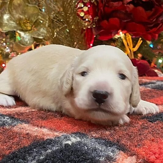 269598834_368971761698921_1316630673069880234_n