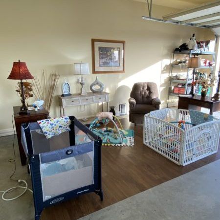 Crème of the Crop Dachshunds Breeder Nursery Photo