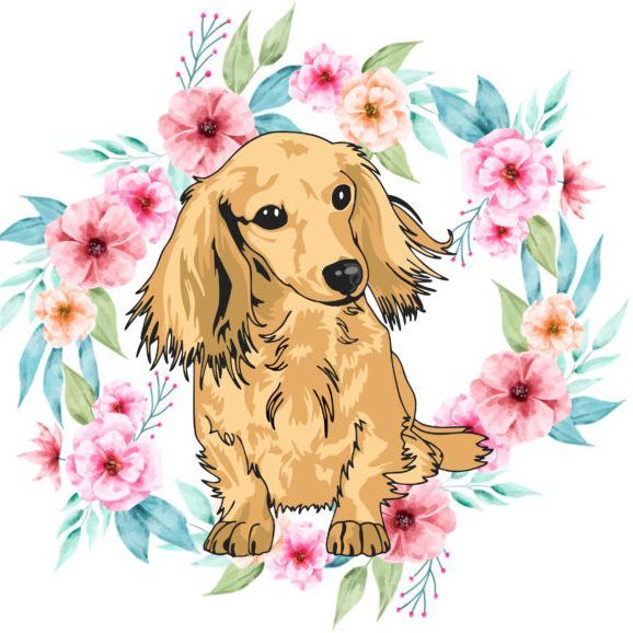logo-graphic-only Creme of the Crop Dachshunds English Cream Miniature Dachshunds