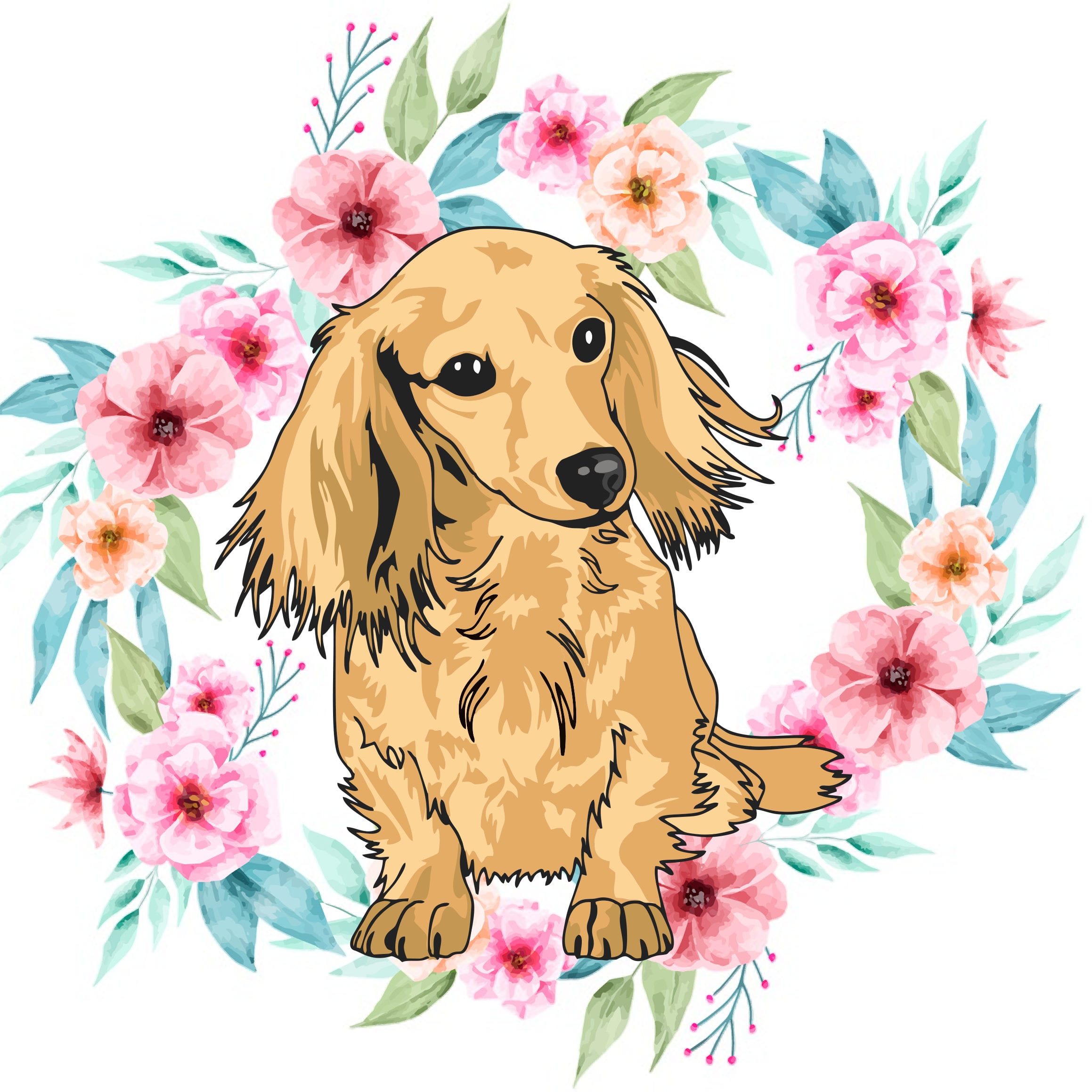 Creme of the Crop Dachshunds English Cream Miniature Dachshunds
