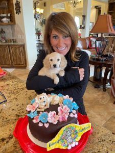 Creme of the Crop Dachshund Puppy - Chicken