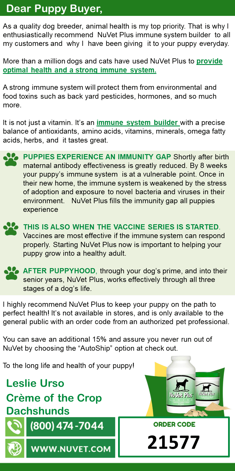 Crème of the Crop English Cream Miniature Dachshunds - English Miniature Cream Dachshund Puppy Buyer Information