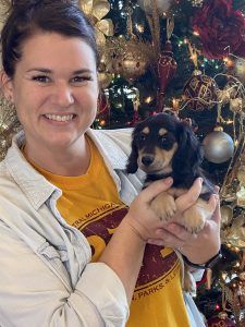 Creme of the Crop Dachshund Puppies - Finch