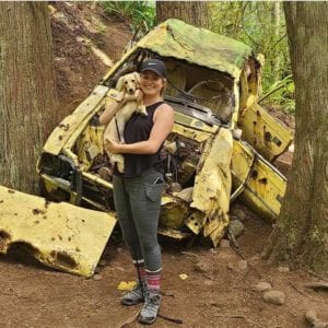 Crème of the Crop English Cream Miniature Dachshunds