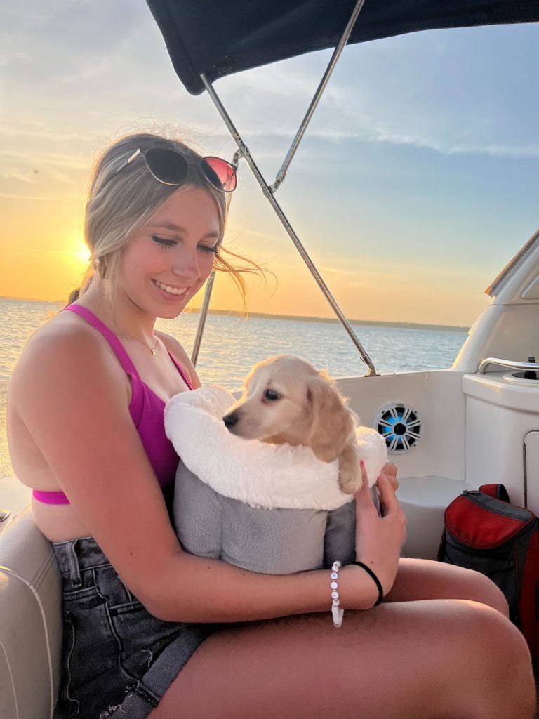 Creme of the Crop Miniature Dachshund Breeder Customer Review/Testimonial - Max