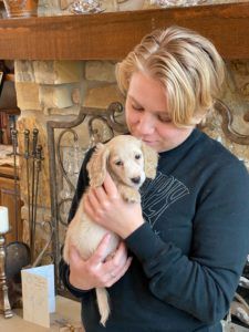 Creme of the Crop Miniature Dachshund Puppy Otto
