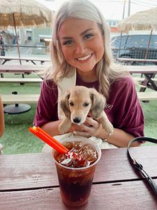 Creme of the Crop Miniature Dachshund Puppy San Marcos